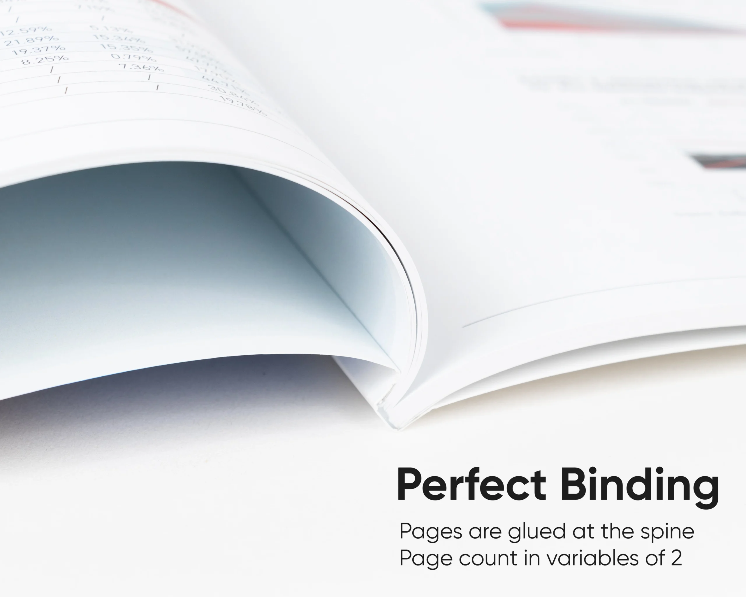 Perfect bound book spread with square spine and printed cover