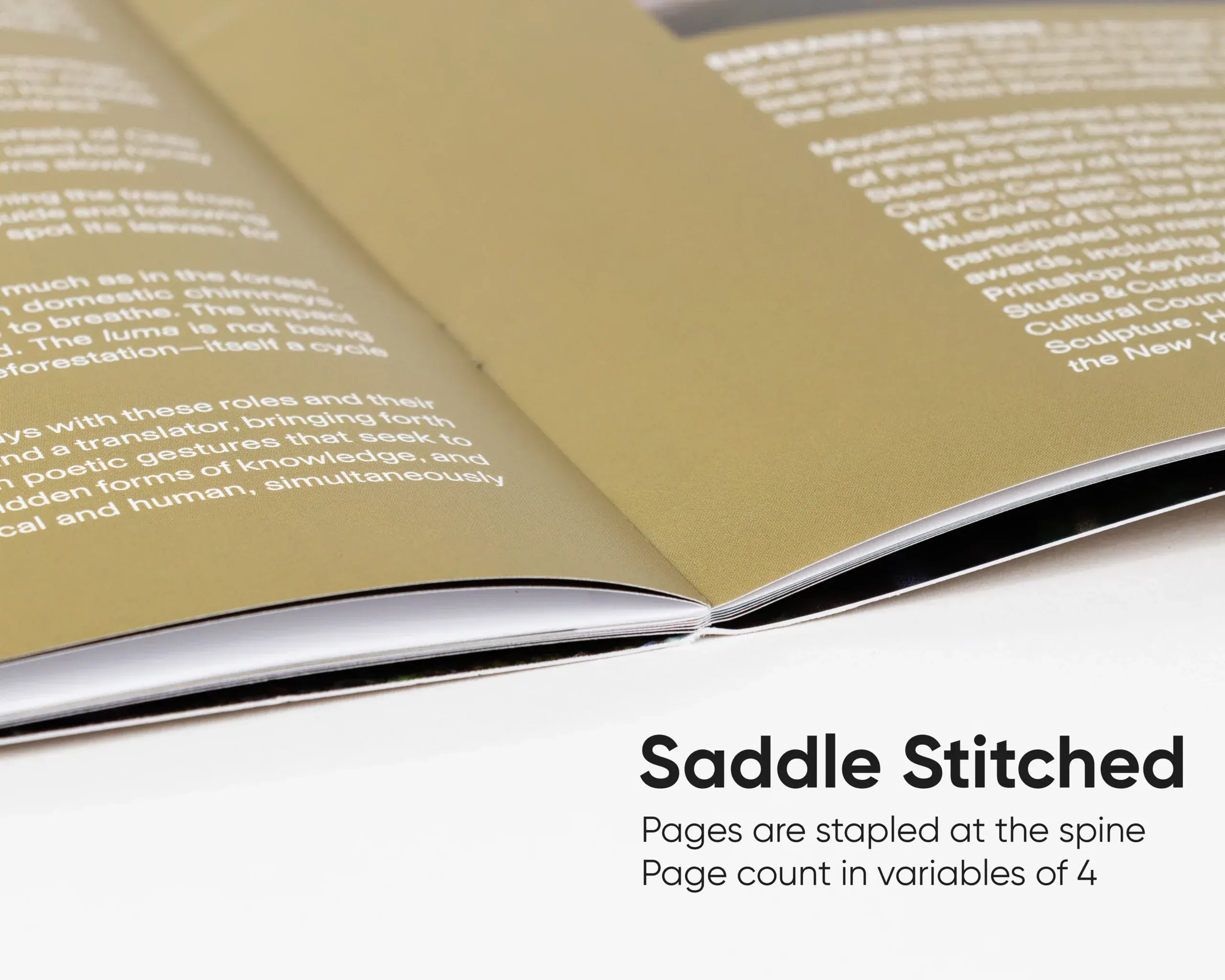 Open saddle-stitched booklet showing interior spread and center staples