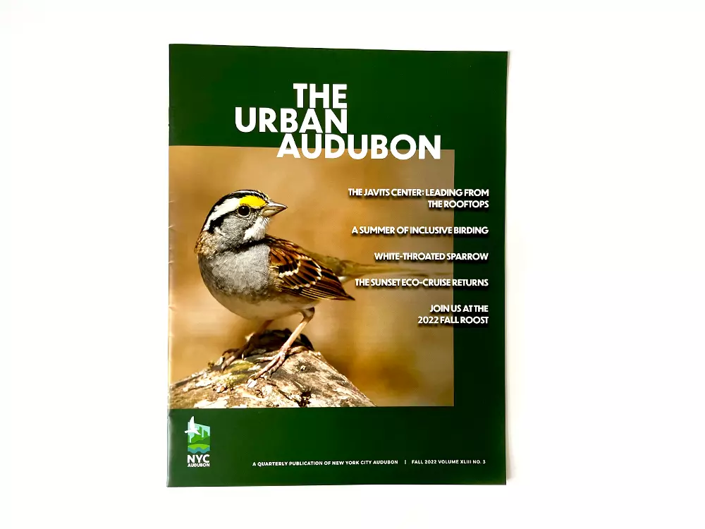Newsletter Printing Sample
