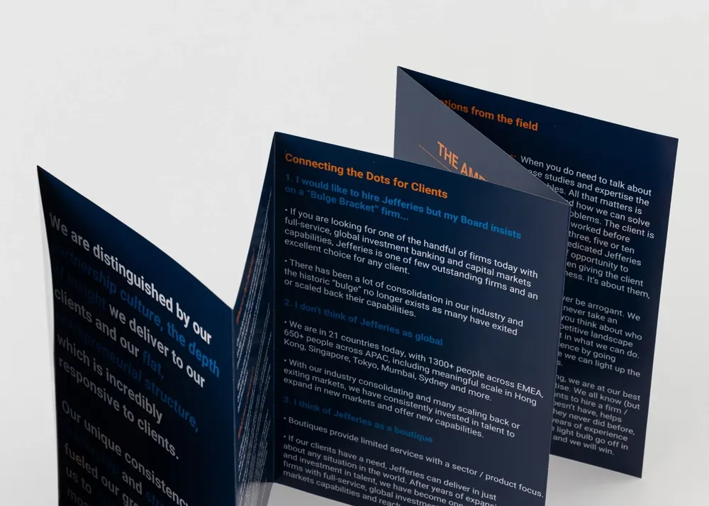 Professional accordion-fold brochure design example