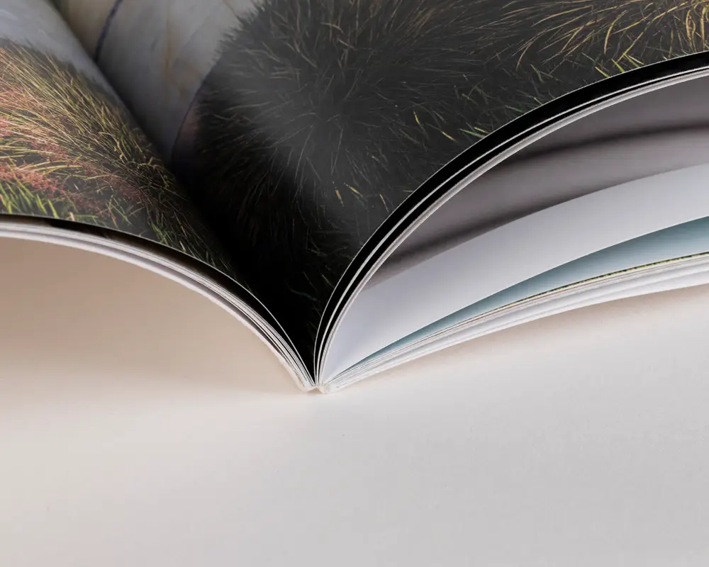 Pittsburgh Book Printing example 2