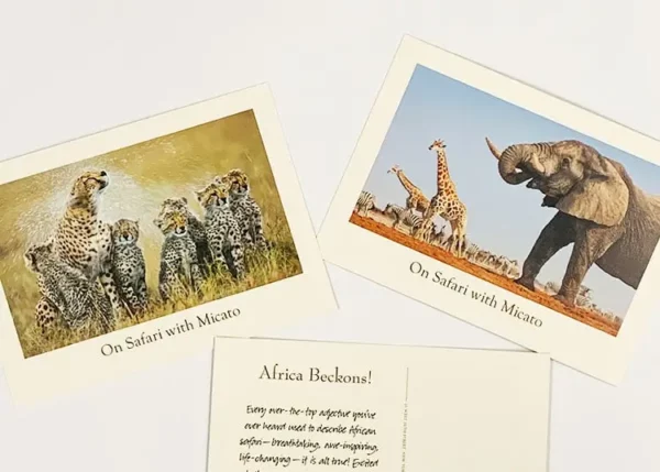 Postcards Printing nyc for Micato Safari