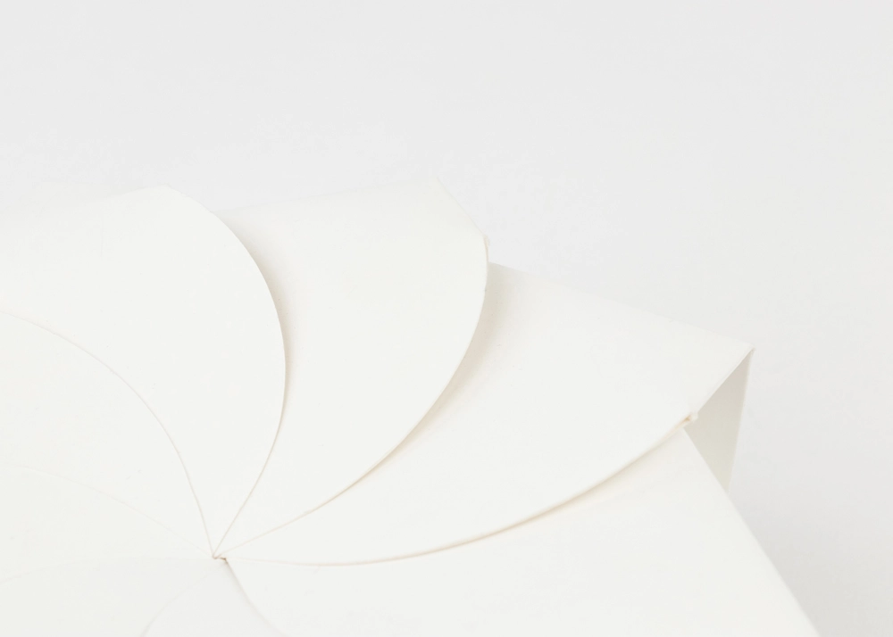Origami Folded Box